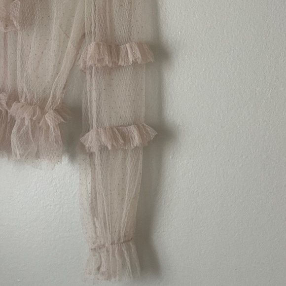 Chic Ruffled Sheer Blouse - Picture 3 of 4